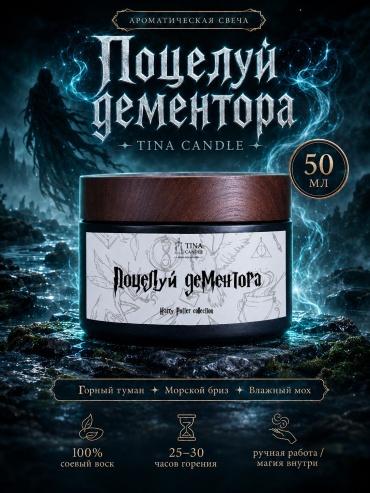 Ароматическая свеча Tina Candle Поцелуй Дементора 50 мл