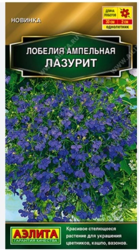 Аэлита лобелия Ампельная Лазурит