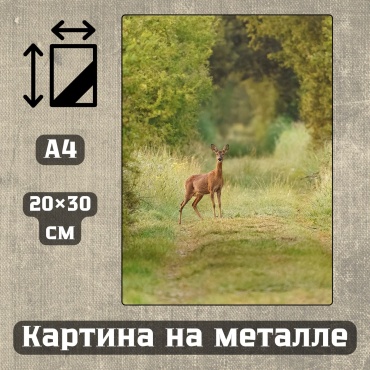 Sequoia VERS картина Картина на металле а4 Дыхание природы 20*30см 20x30 см