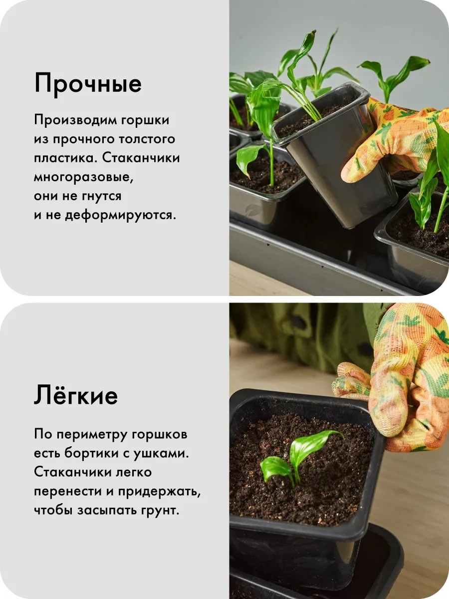 Фото 4