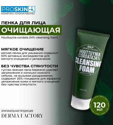 Derma Factory Houttuynia Сordata 24% пенка 120 г
