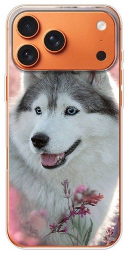 Чехол BAIKO для Apple iPhone 17 Pro Max рисунок