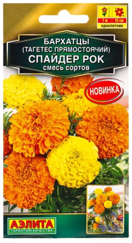 Аэлита бархатцы Спайдер рок
