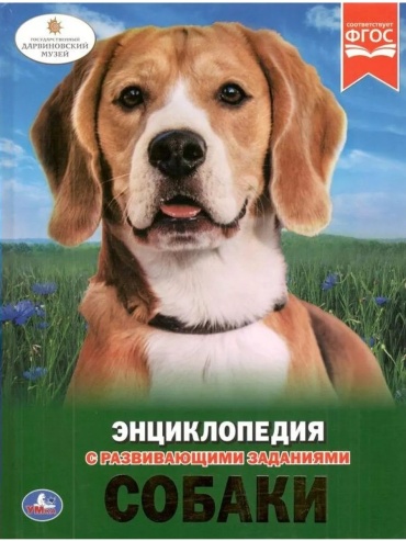 Н. В.Седова: Собаки