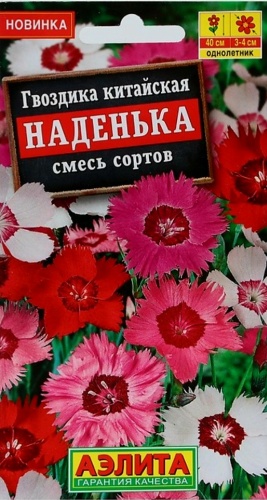 Аэлита гвоздика Наденька