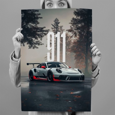 PEMIKAN CRAFT постер 911 40x60 см