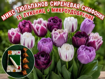 Тюльпан Микс
