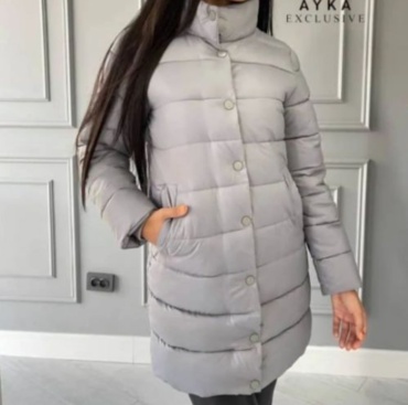 Демисезонная куртка Ayka Exclusive серебристый
