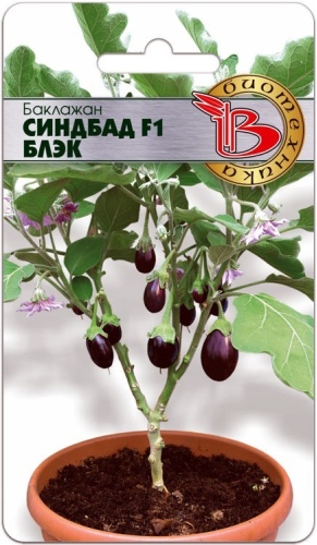 Биотехника баклажан Синдбад F1 Блэк