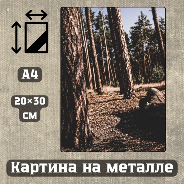 Sequoia VERS картина Картина на металле а4 Дыхание природы 20*30см 20x30 см