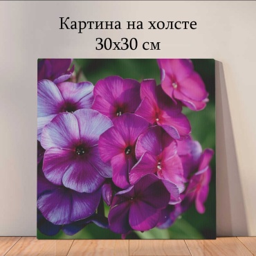 Quantum картина растения и цветы_hbk 30x30 см