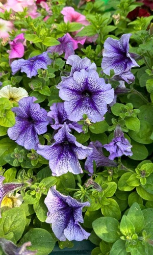 Фото 2