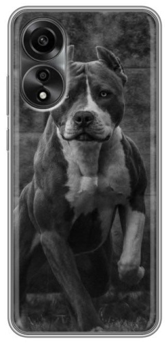 Чехол BAIKO для OPPO A38, A18 рисунок