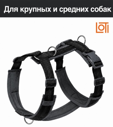 LOTI шлейка для прогулки L черный