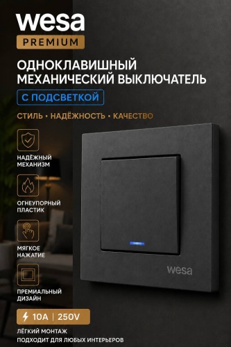 Выключатель клавишный Wesa BZ-01-3, графит