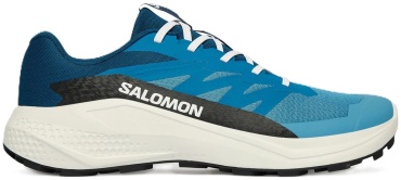 Кроссовки Salomon Alphaglide синий