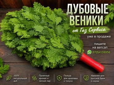 Веник 897842018 1 шт
