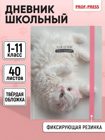 Дневник школьный Школьный дневник Prof-Press для 1-4 и 5-11 классов с твердой картонной обложкой, резинкой, 80 офсетн Prof-Press, 80 л