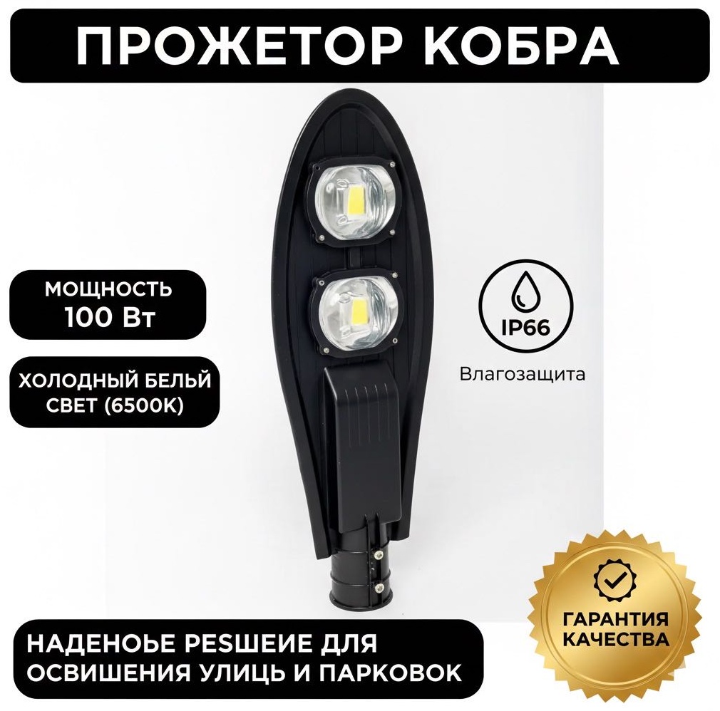 Прожектор на дуге крепления, на кронштейне 100 Вт, холодный белый