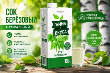 Гамма вкуса сок березовый 6 шт по 1 л