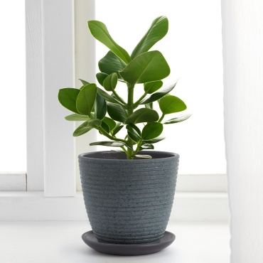 Горшок для дома IKEA , керамика