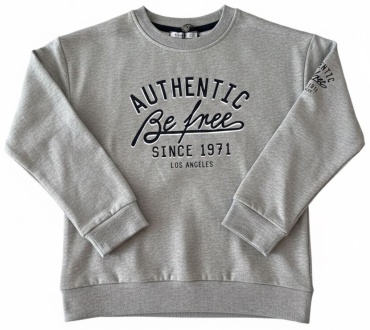 Свитшот Wanex • Центральная надпись: «AUTHENTIC Be free SINCE 1971 LOS ANGELES» • Декор на рукаве: Дублирующий элемент «Authentic 1971». серый