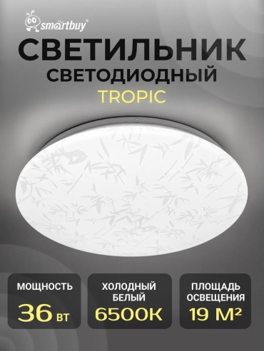 Светильник настенно-потолочный Smartbuy LED белый