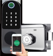 Tuya электронный 234567