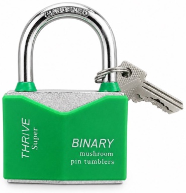 Замок навесной, английский BINARY Замок BINARY, 100х70 мм