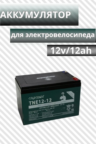 30315469_Champion shop 12V/12Ah A.K007