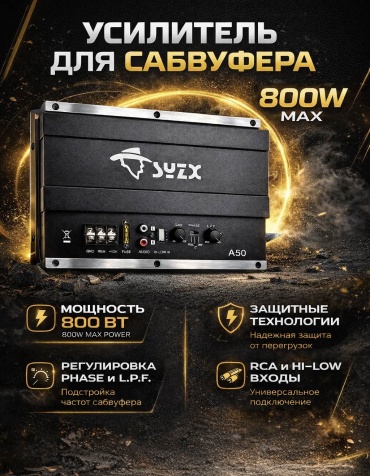 RS Audio SYZX-01 800 Вт 1 канальный