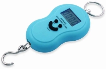 Portable Electronic Scale голубой