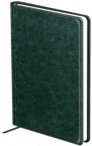 Ежедневник BG Nebraska, A5, 160 л, зеленый