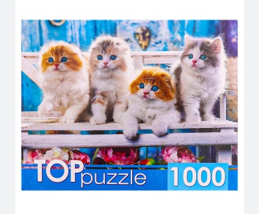 РЫЖИЙ КОТ 4154 классический 1000 деталей