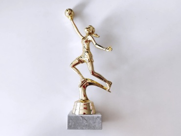 Golden Cup трофей Волейбол Женский мини