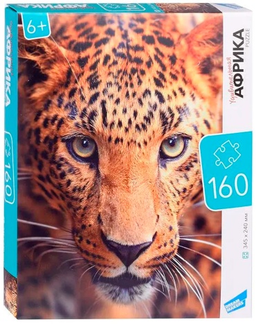 Genio Kids RI1602C классический 160 деталей