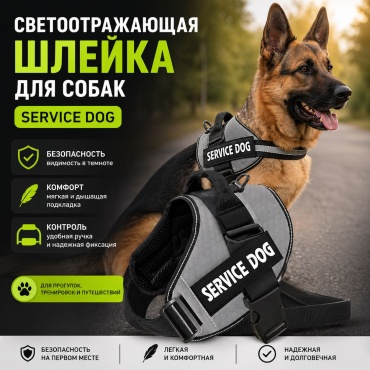 Шлейка с поводком для прогулки XL серый