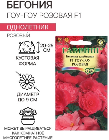 Гавриш бегония ГОУ-ГОУ