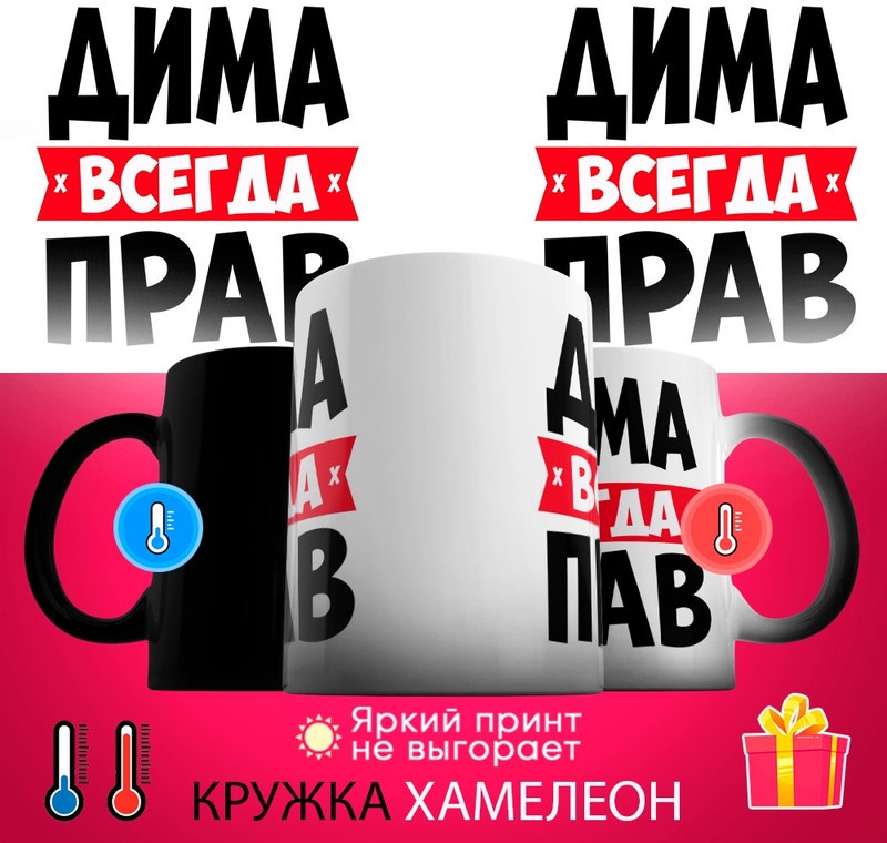 Кружка «хамелеон Дима всегда прав», 330 мл, керамика, 1 шт.
