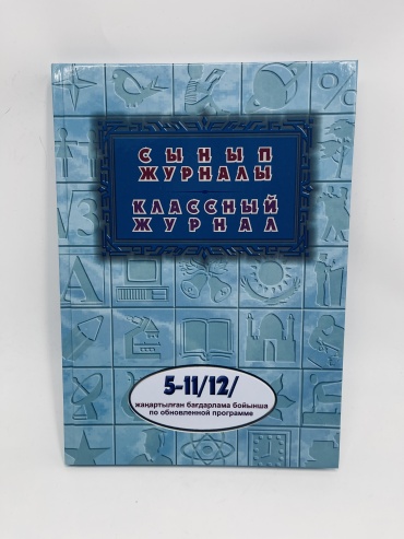Книга Дауир Сынып Журналы, А4, 300 л