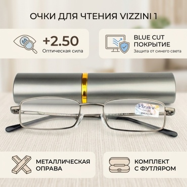 VIZZINI корригирующие 1 серебристый +2.50
