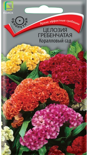 Поиск целозия Гребенчатая