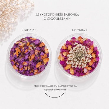 ANANAS сухоцветы 1 ячейка микс цветов 1 шт