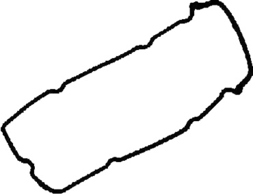 REINZ прокладка 715337900