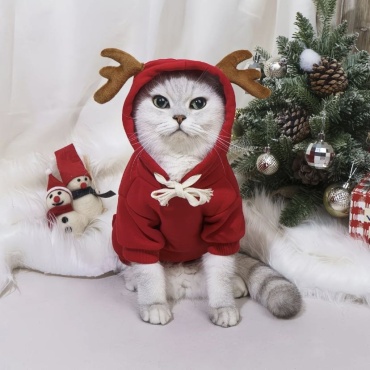 Толстовка Новогодний костюм красный M