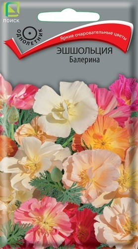 Поиск эшшольция Балерина