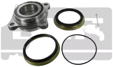 SKF комплект подшипника ступицы VKBA6900