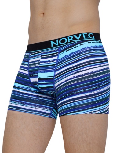 Боксеры NORVEG голубой