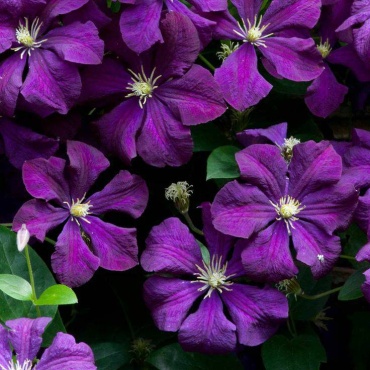 Фото 3