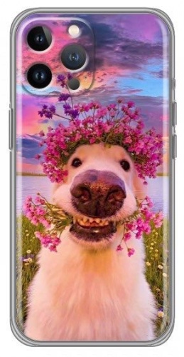 Чехол для Apple iPhone 13 Pro Max рисунок